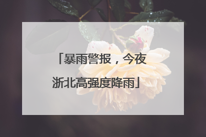 暴雨警报，今夜浙北高强度降雨